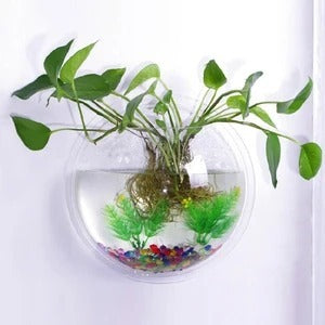 Shopi Vella wall-mounted fish bowl with green plant and colorful gravel for home storage decor