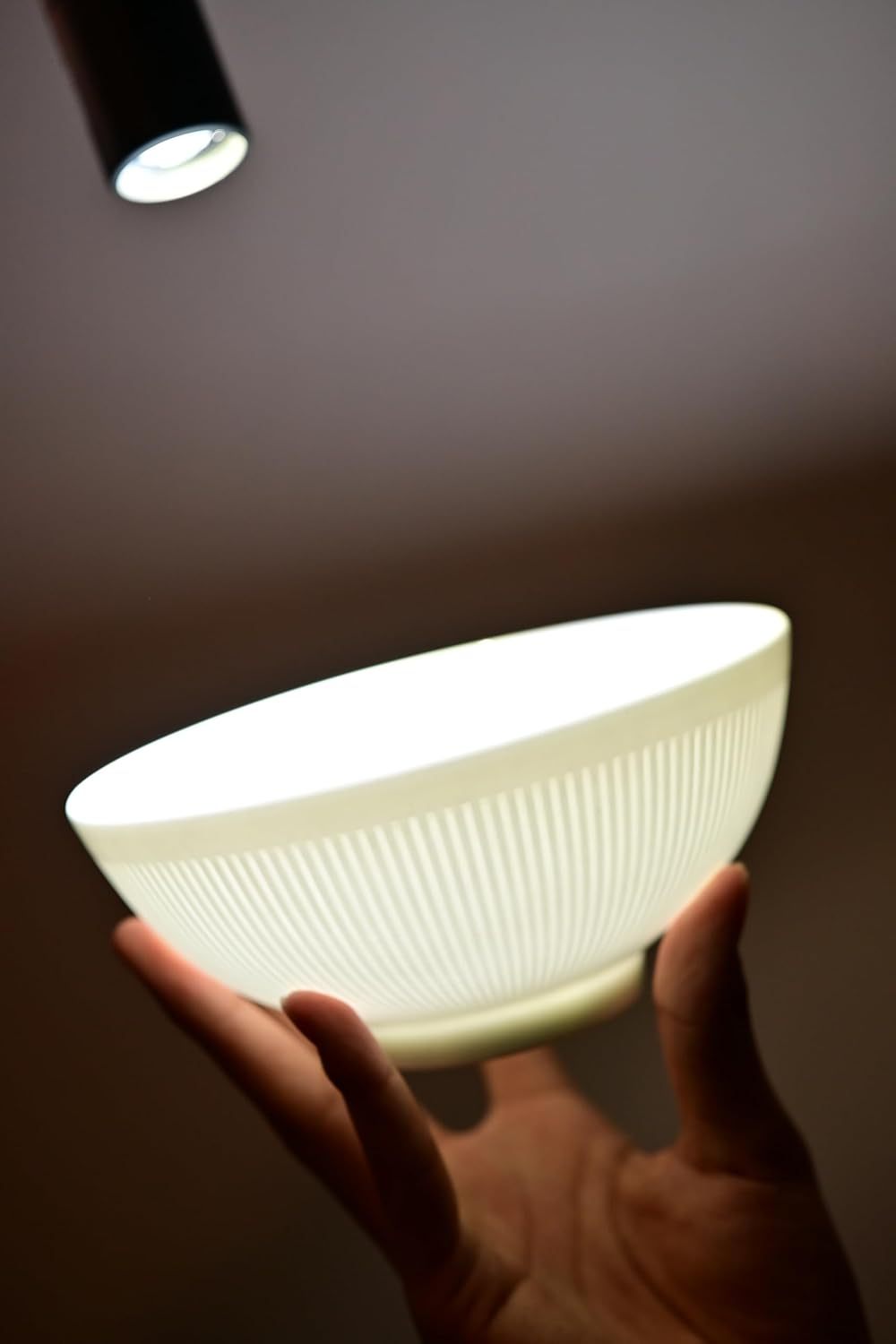 Hand holding illuminated white bone china dinnerware set bowl with textured pattern