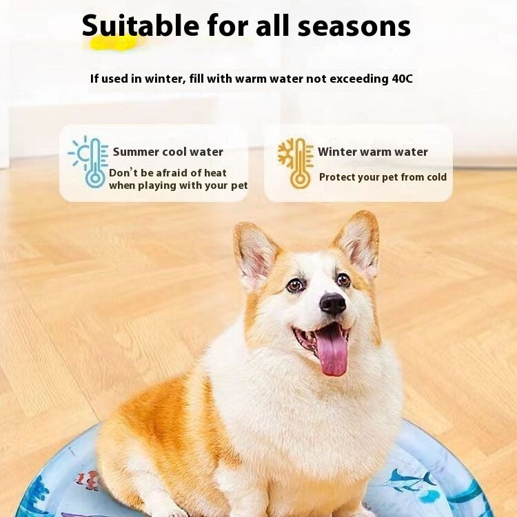 Cute corgi sitting on a cooling pet bed for summer with instructions for seasonal water temperature use