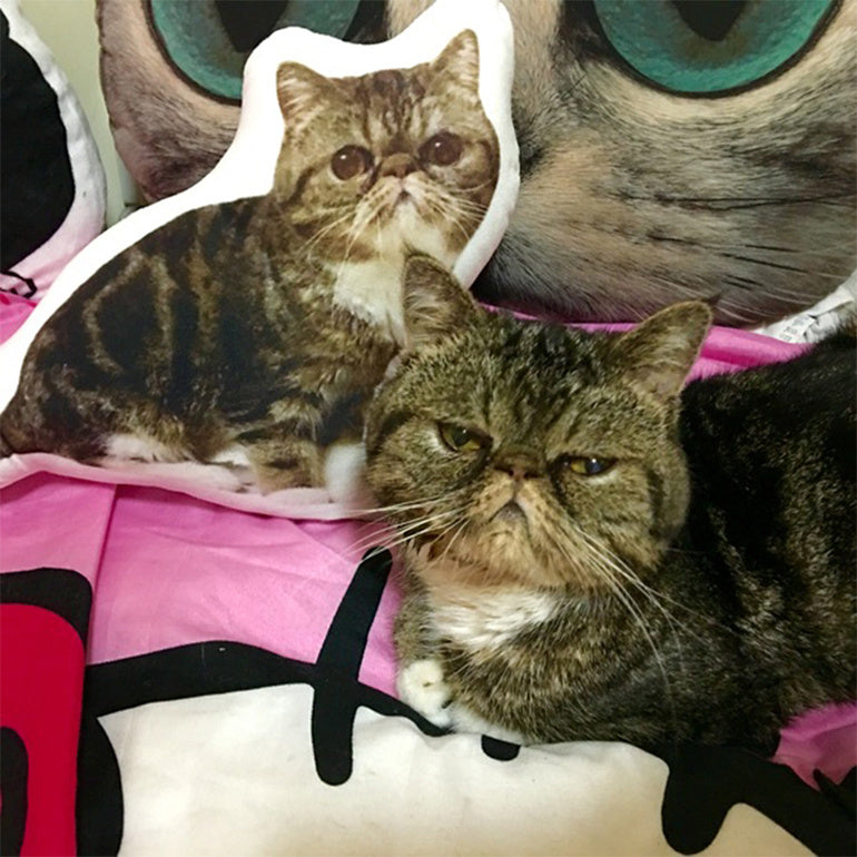 Custom pet pillow featuring a cat image from Shopi Vella with a real cat lying nearby on a colorful surface