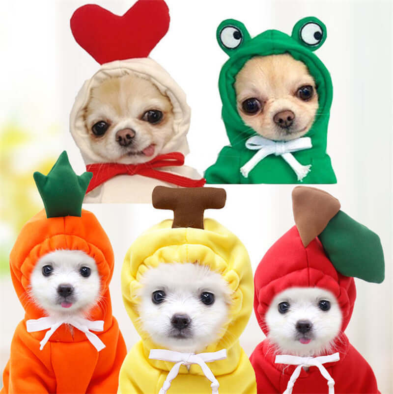 Cute dog hoodies for small dogs featuring adorable animal and fruit designs by Shopi Vella