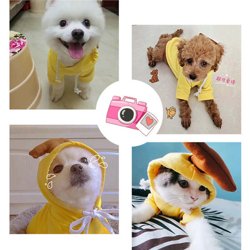 Cute dog hoodies for small dogs in yellow shown on various small dogs and a cat with pet supplies from Shopi Vella