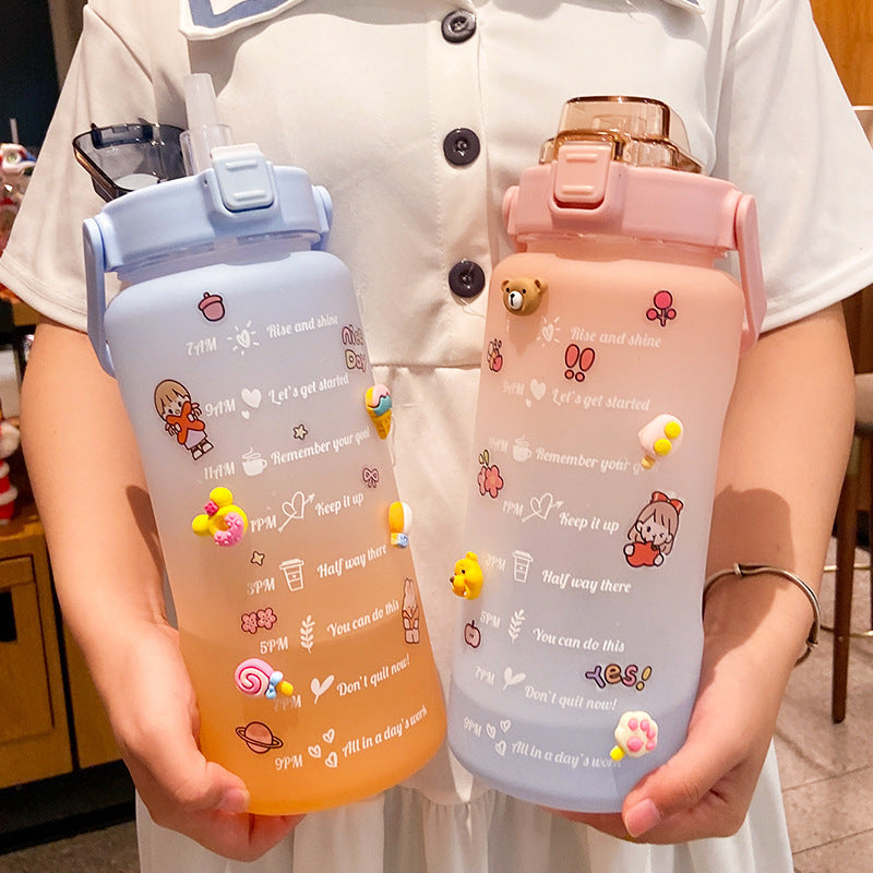 Shopi Vella cute water bottle with straw in pastel blue and pink featuring motivational designs and 3D decorations