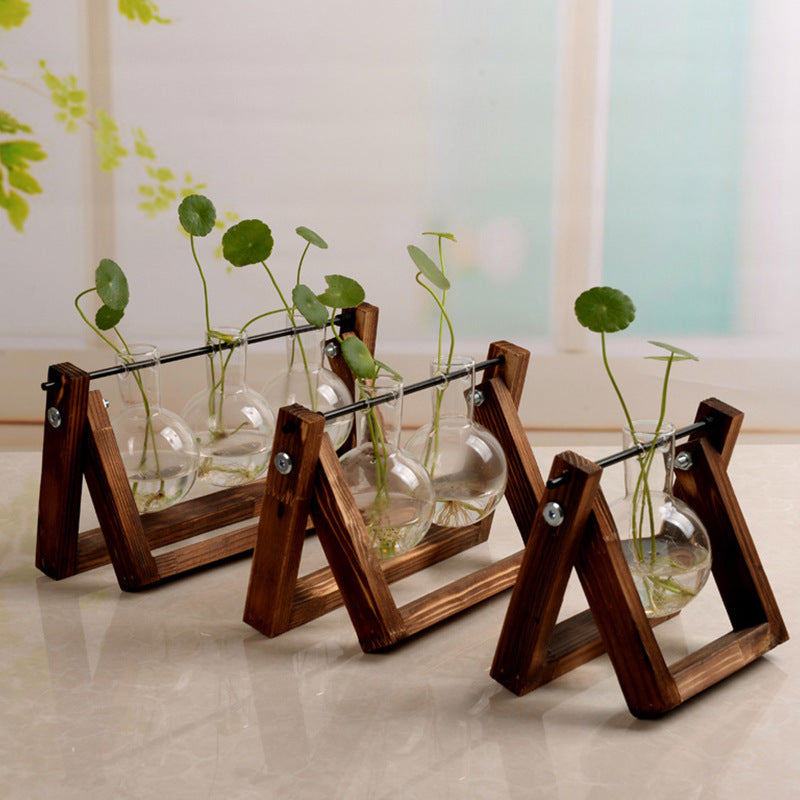 Shopi Vella decorative glass vase for indoor plants with wooden frame and clear round bottles