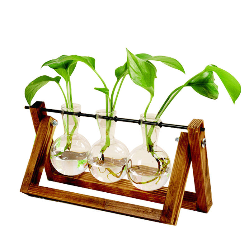 Shopi Vella decorative glass vase for indoor plants with three clear round bottles on wooden stand