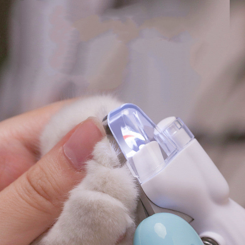 Shopi Vella electric dog nail grinder trimming a small white dog's nails safely and efficiently