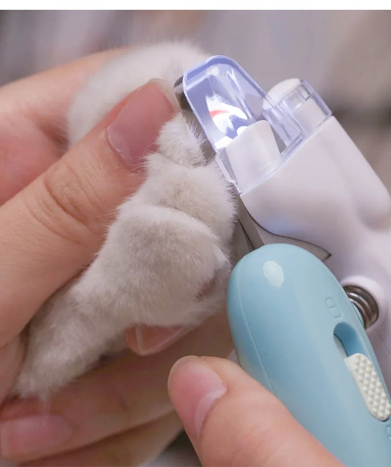 Shopi Vella electric dog nail grinder grooming a small pet's nails with safe and precise trimming