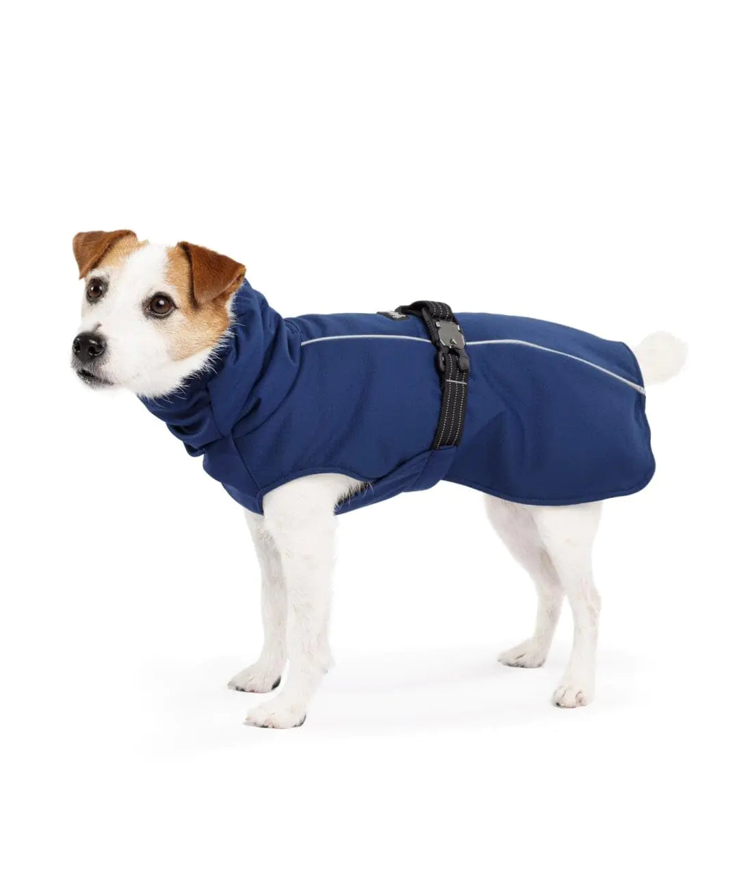 Goldpaw Winter Paw Dog Coat - Insulated Pet Jacket for Cold Weather Adjustable Fit and Stylish Canine Outerwear - Navy Size 14