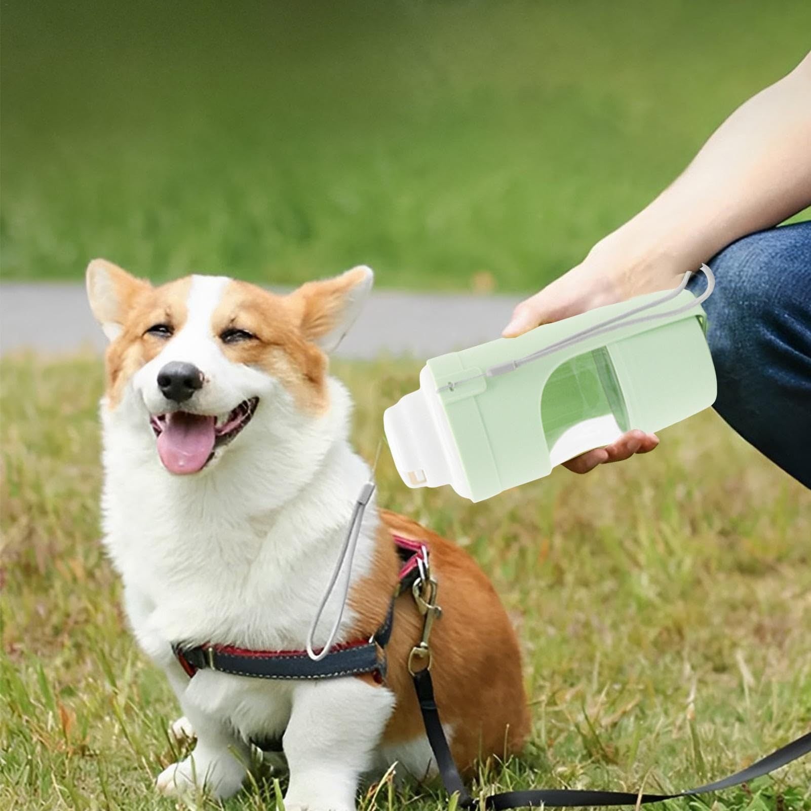 Shopi Vella portable dog water bottle being used to hydrate a happy corgi outdoors