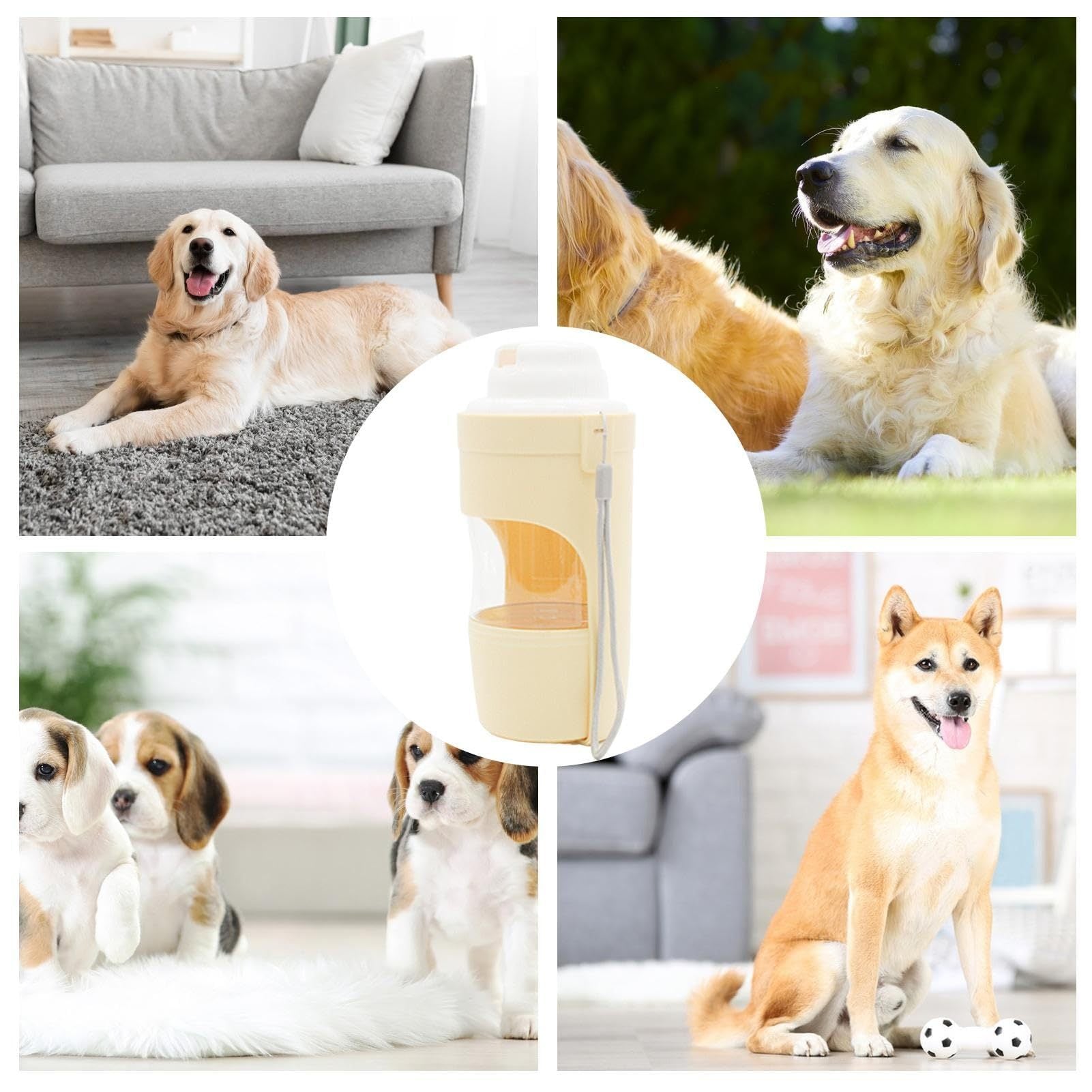 Portable dog water bottle by Shopi Vella surrounded by happy dogs of various breeds indoors and outdoors
