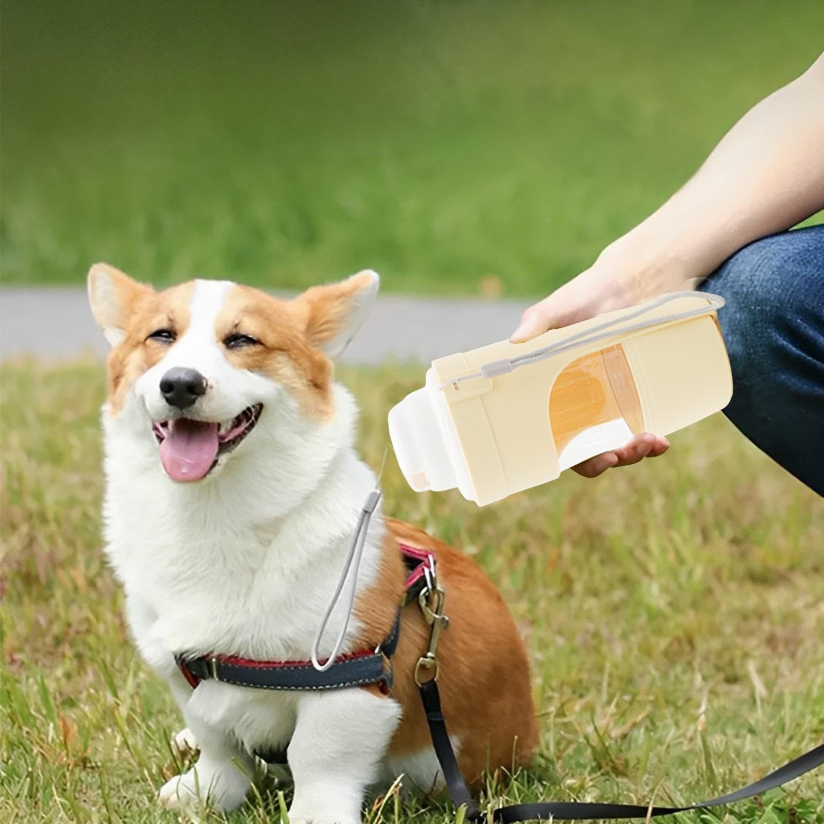 Portable dog water bottle being used to hydrate a happy corgi sitting on grass during outdoor walk