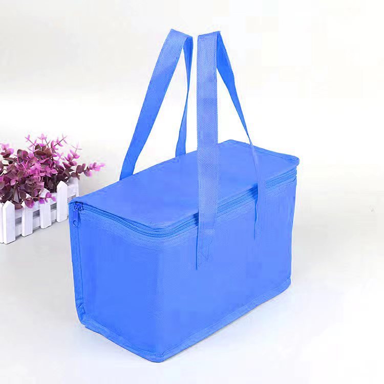 Blue portable insulated lunch bag with dual handles and zipper closure for easy carrying