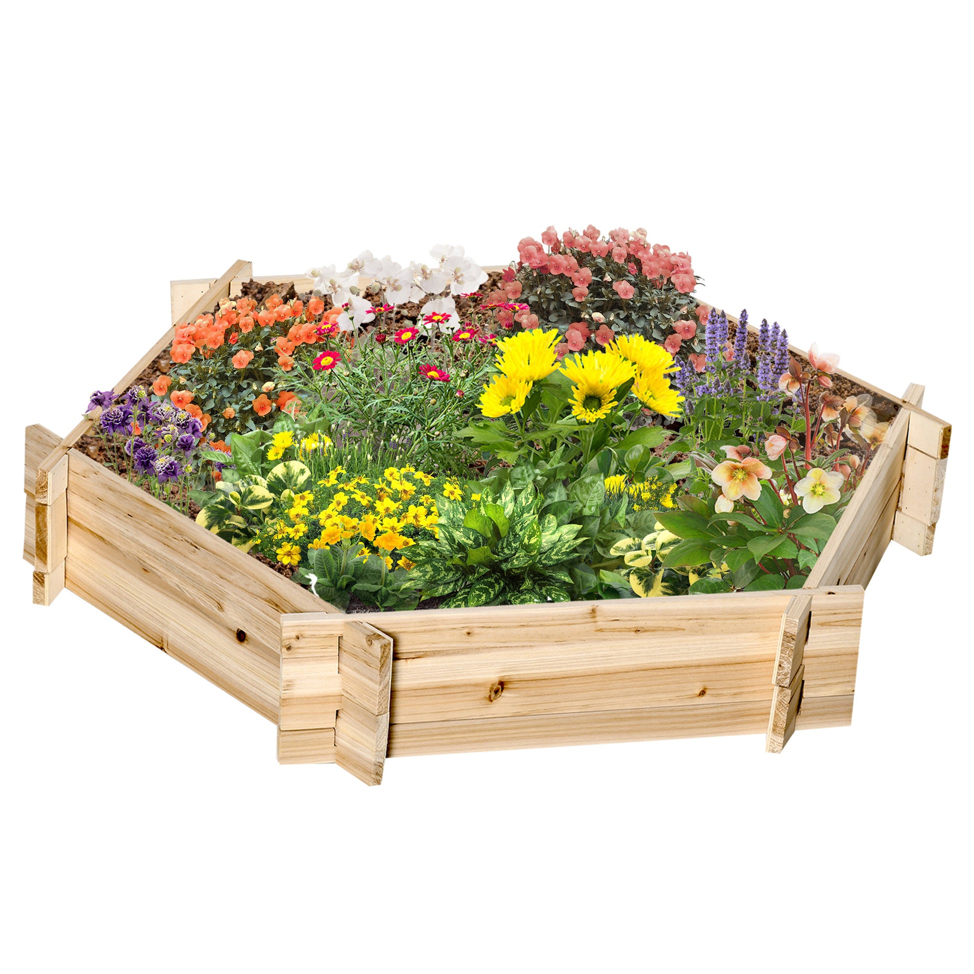 Shopi Vella screwless raised garden bed made of natural wood filled with colorful blooming flowers
