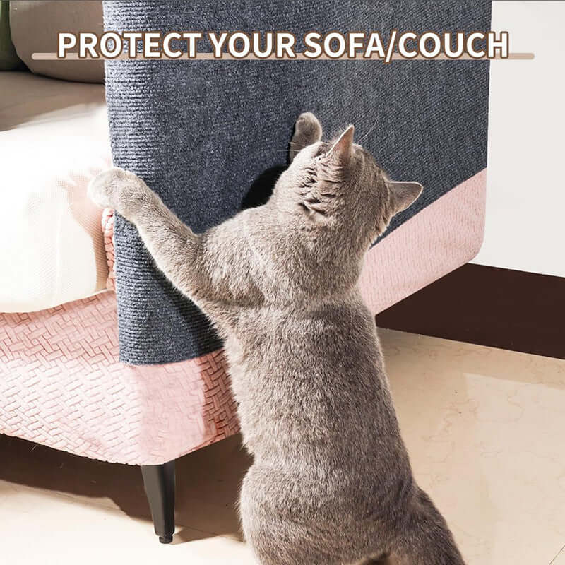 Gray cat using self-adhesive cat scratch board on sofa to protect furniture from scratches