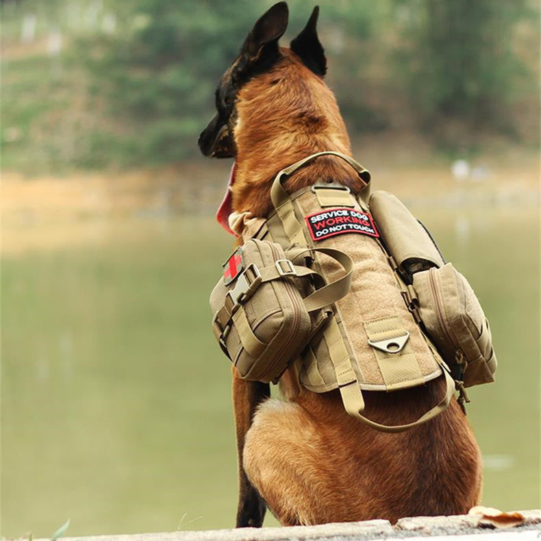 Dog wearing an adjustable military dog vest with storage pouches and service dog patch outdoors