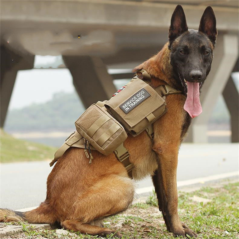 Dog wearing an adjustable military dog vest in tan color with service dog training patch outdoors