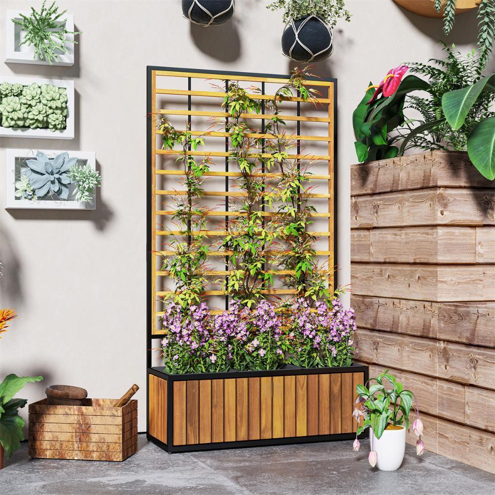 Shopi Vella wooden raised garden bed with trellis growing climbing plants and flowers indoors