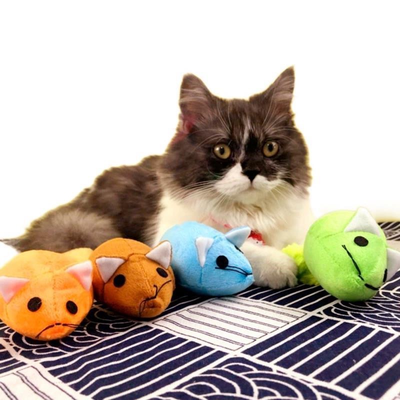 Cat playing with colorful interactive mouse cat toy set from Shopi Vella on striped fabric